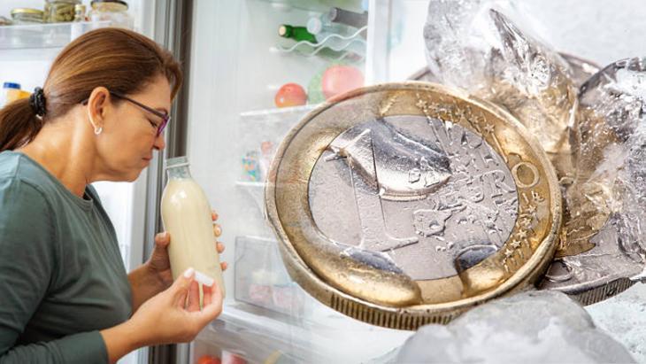 Gıdaların bozulduğunu böyle anlamak mümkün: Bozuk para testi