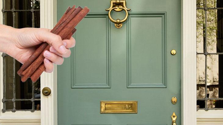 Japon kapılarında neden tarçın asılı? Gizli bir koruma yöntemiymiş