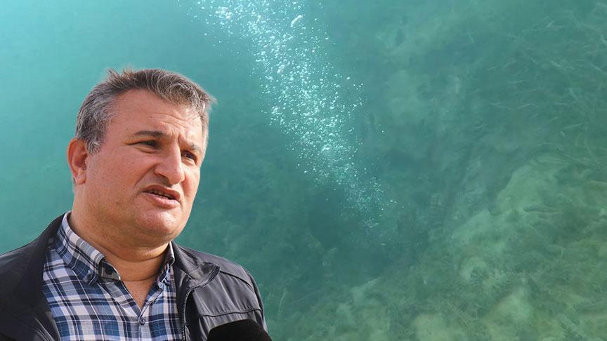 Son dakika... Sapanca Gölü'ndeki gizemli kabarcıklar depremin habercisi mi? Uzmanı açıkladı: Tetikleyebilir