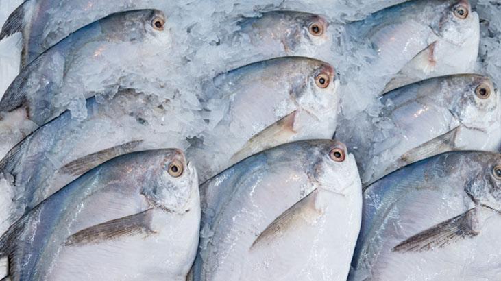 Japonya'nın yasaklı balığı felç ediyor... Ağzınıza sürmeyin, işte belirtileri