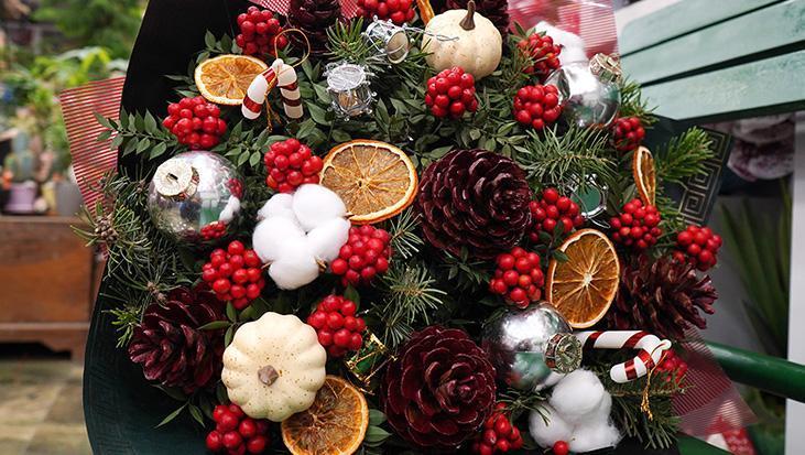 Yılbaşı çiçeği kokinalar evleri süslemeye başladı: Fiyatı ne kadar?