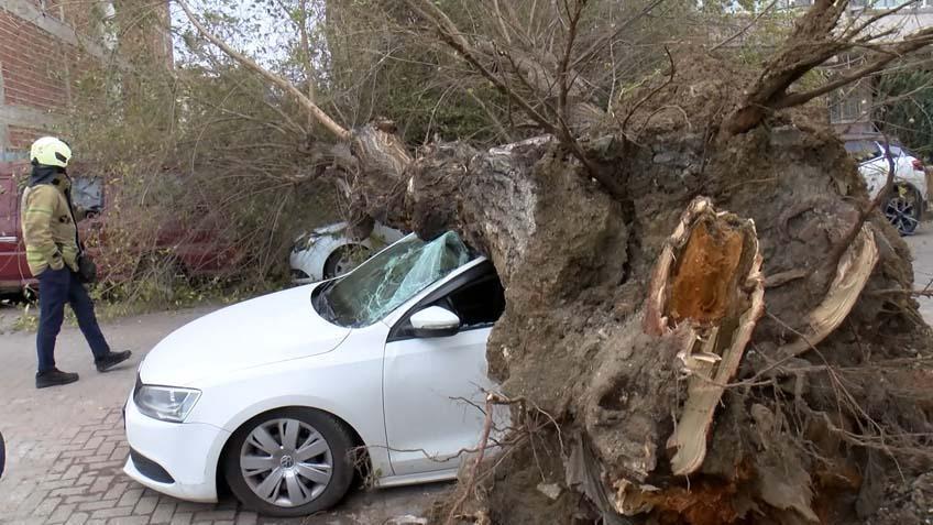 İstanbul’da dev ağaç 4 aracın üzerine çöktü! '1 saniye ile kurtuldum'