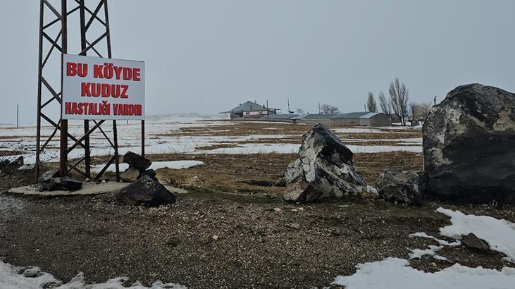 İlçede kuduz alarmı! Karantina uygulaması başlatıldı