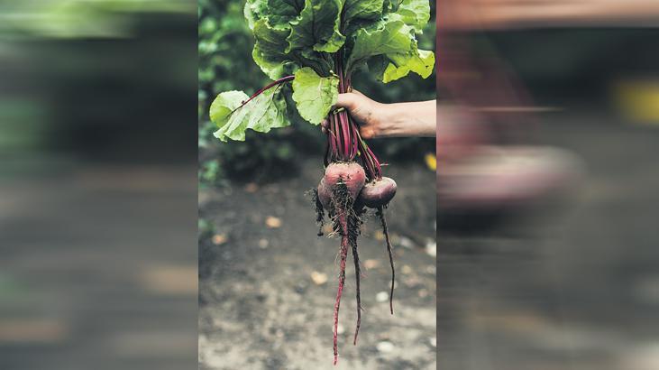 Toprağın kırmızı yıldızı