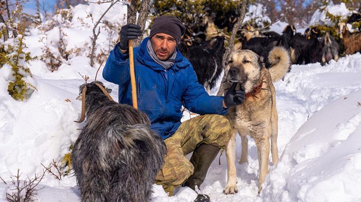 Otopsi yaptırdı, korkunç gerçek ortaya çıktı: Onun sadece adı köpekti