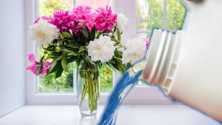 Vazodaki çiçekleri günlerce yaşatıyor! Karıştırınca işe yarayan 2 santimlik tüyo