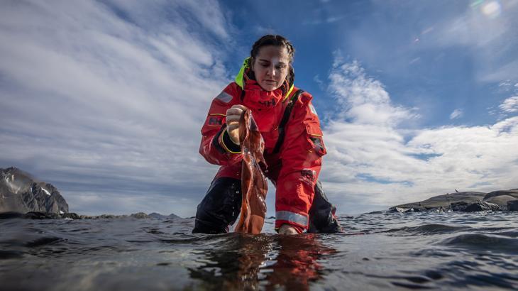 Türk bilim insanları Antarktika'daki araştırmalarıyla sağlık ve tarıma ışık tutuyor