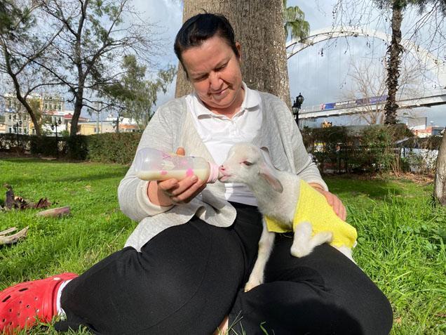 Annesi reddetti, o sahiplendi! 'Kuzu Naciye' salıncakta sallanıyor, misafirliğe gidiyor