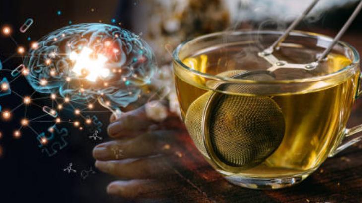 Harvardlı uzmandan hafızayı zehir gibi yapan liste! Çaylarını içen unutmayı unutuyor