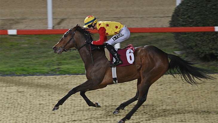 Dünya Kadınlar Günü Koşusu'nda kazanan Jaehaera oldu!