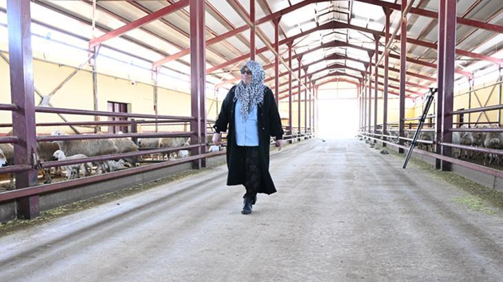 Muhasebeciliği bırakıp memleketine döndü! Hibe desteği ile hayali gerçek oldu: 'En güzel şey çalışmak'