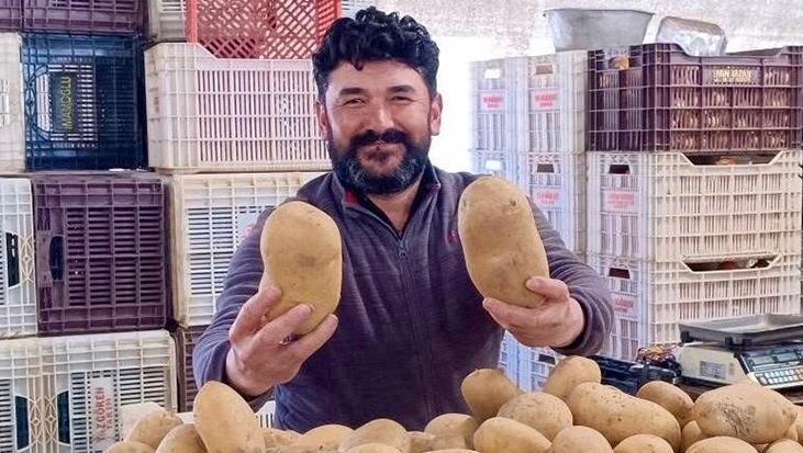 Pazarda gören dönüp bir daha bakıyor! Tek patatesle 4 kişilik yemek çıkıyor
