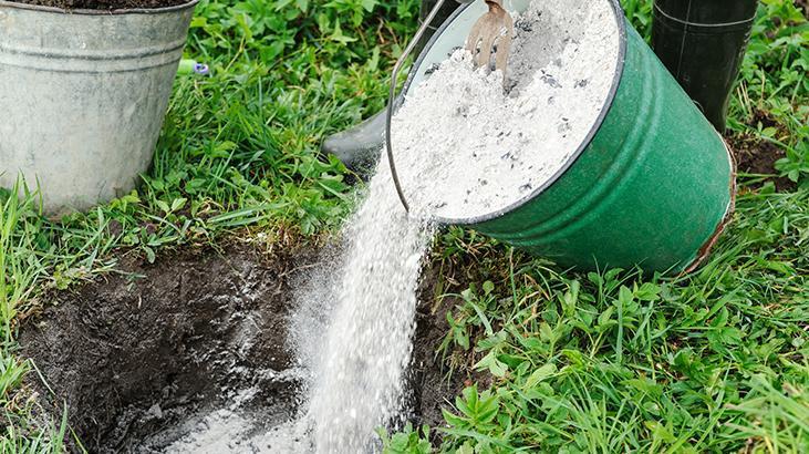 Mart ayında bahçeye kül serpen kazanıyor! Toprağı canlandıran yöntem