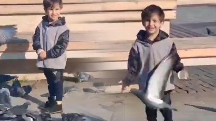 Güvercinleri besledi, can verdi! Baba olay gününü anlattı: Ben aileme nasıl bakacağım?