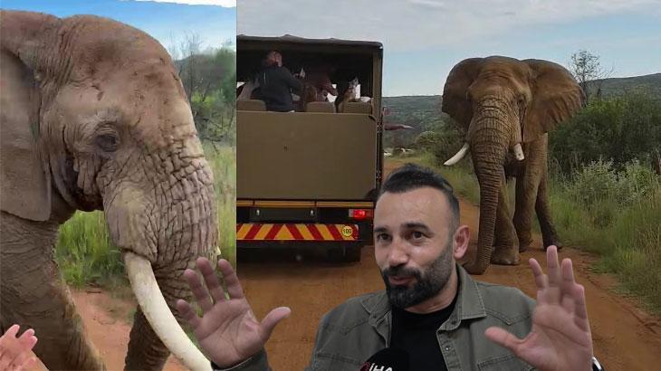 'Sakın dokunmayın' uyarısına aldırmayan Türk turistler kabusu yaşadı! 5 tonluk fil saldırıya geçti