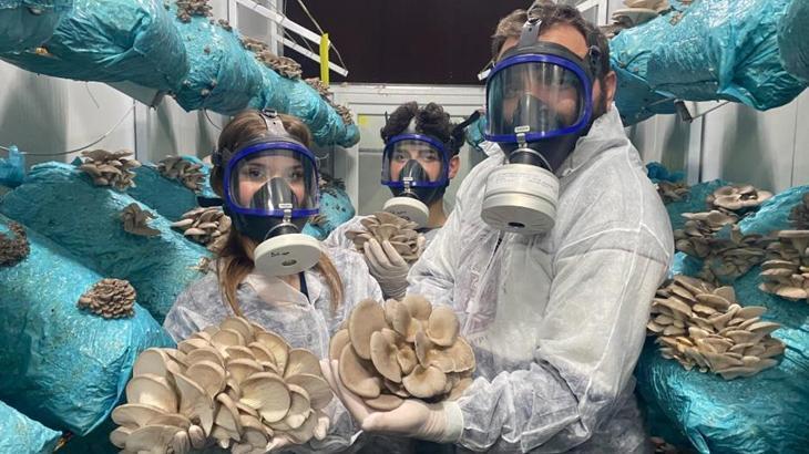 Hobi olarak üretime başladı: 1 ton hasat elde ediyor