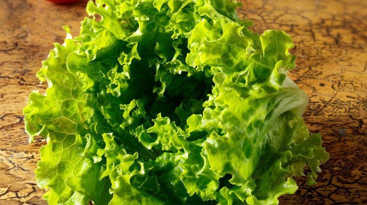 Kağıt havluya sarınca 10 gün taze kalıyor! Marulun sümüklenmesini anında önlüyor