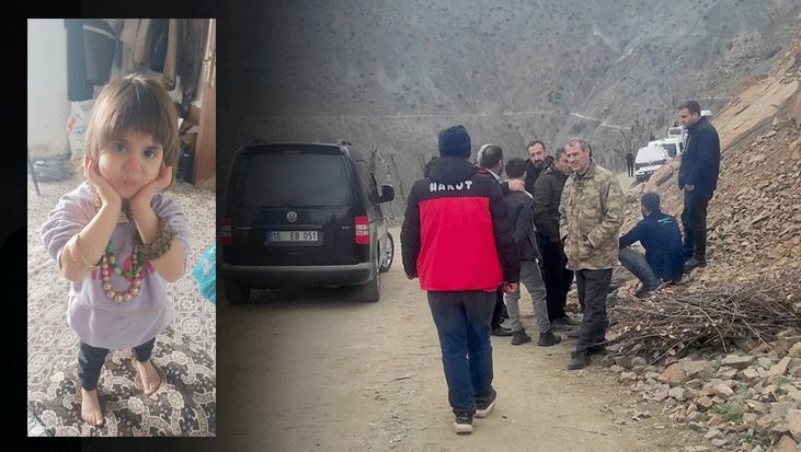 Bitlis'te her yerde aranan 5 yaşındaki Rabia'dan sevindiren haber