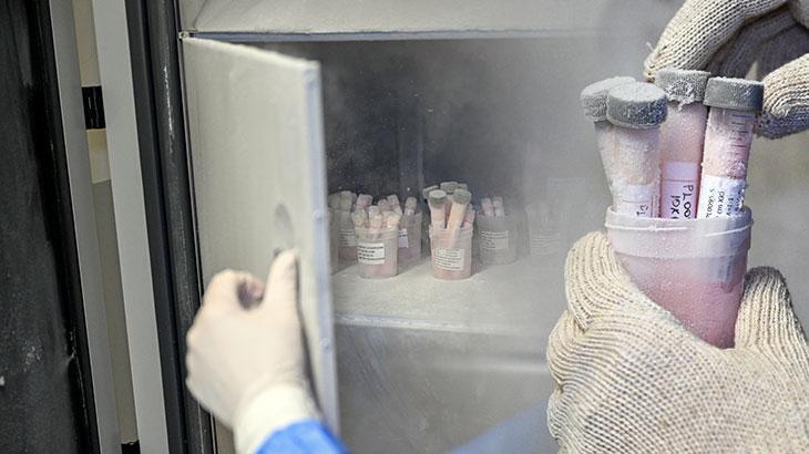 Türkiye'de bir ilk! 5 yıl saklanıyor: Ölenlerin sırt ve bacaklarından alınıyor: Belli olmuyor bile, o kadar çok hayat kurtarıyor