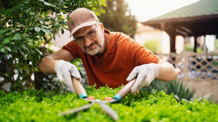Bahar aylarında bahçeyi cennete çeviren taktik! Yabani çiçekler önemliymiş