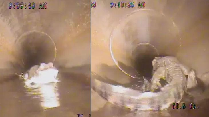 Yeraltı canavarı efsanesi doğruymuş! Belediye çalışanları videoya çekti, korku filmi gibi