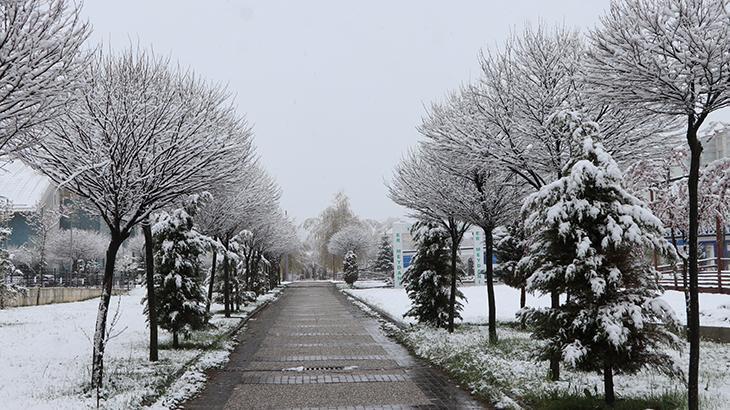 Fotoğraflar bugün çekildi! Mayıs ayında kar sürprizi... Kent merkezi bembeyaz