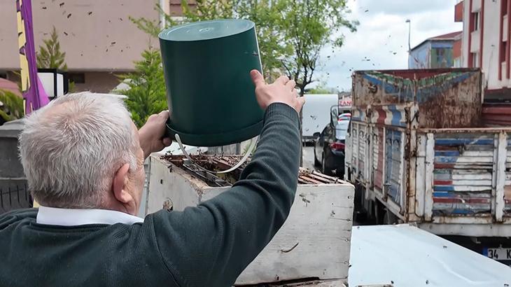 Şehrin göbeğinde şaşırtan manzara: İnsanlar korkuyor ama korkulacak bir şey yok