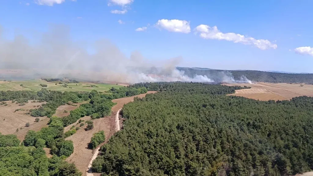 Çanakkale’de orman yangını