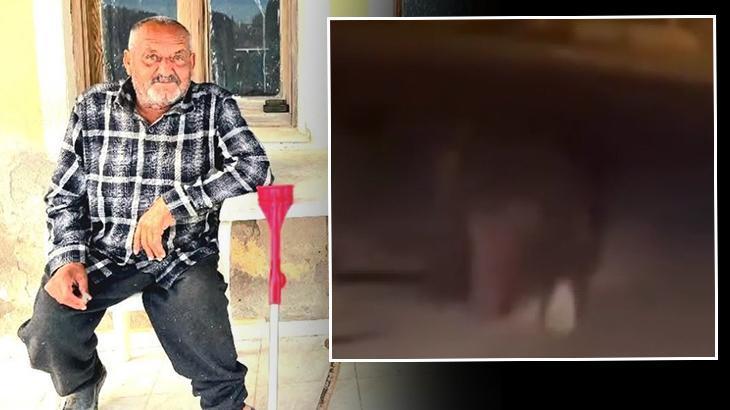 Balkondan alıp 20 metre sürükledi! İzmir’de ayı dehşeti… Yaşlı adam hayatını kaybetti