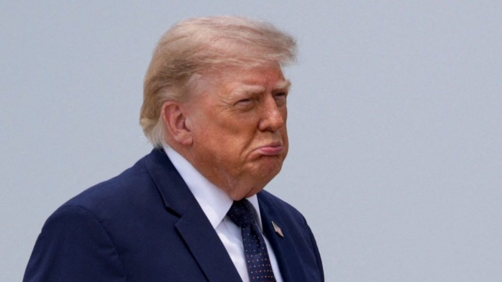 Donald Trump, Kanada’yı yangınlara karşı önlem almamakla suçladı